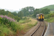 Gewoon treintje bij station Danby